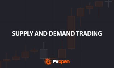 What Are Supply and Demand Trading Zones?