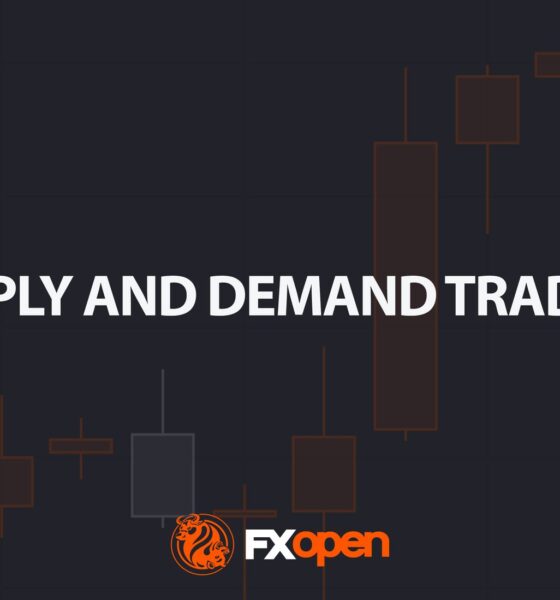 What Are Supply and Demand Trading Zones?