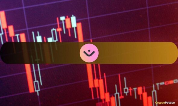 MANTRA Cuts Staff to Stay Afloat After Brutal Market Year