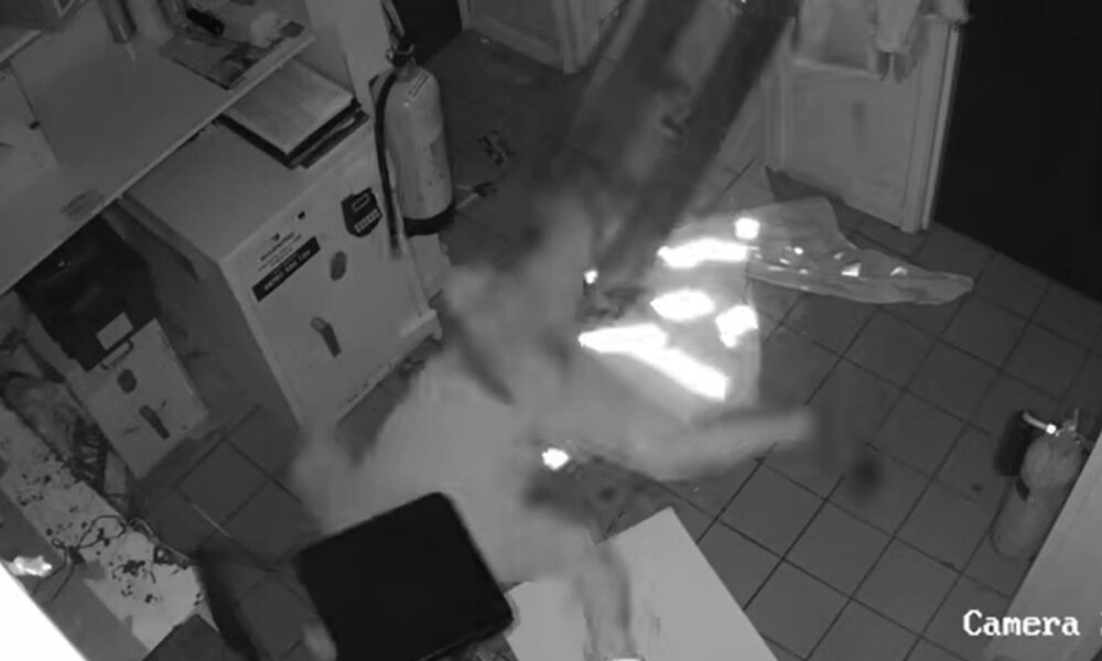 Chaotic moment world's clumsiest burglar falls FOUR times from ceiling while trying to flee robbery at petrol station