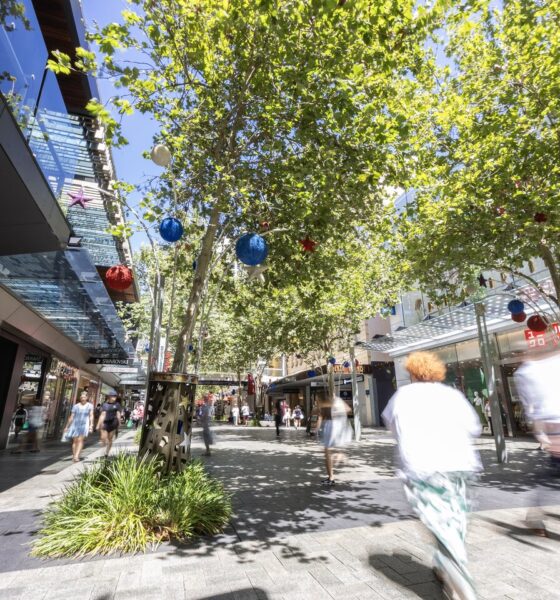 City Chic bets on US summer rebound