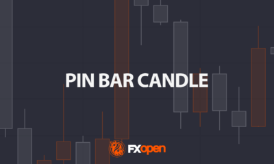 Pin Bar Candle: How Traders Identify and Use It