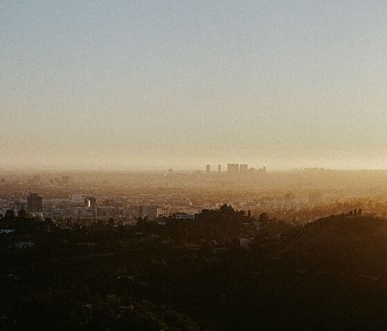 Building a Global Import Business Through Trust, Craft, and Cultural Exchange