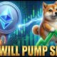 Shiba Inu Eyes Potential Rebound as Ethereum Tokenization Expands