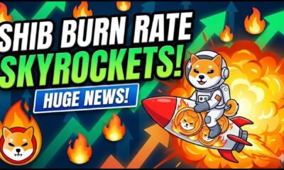 Shiba Inu Sees Bullish Revival as Token Burn Rates Surge