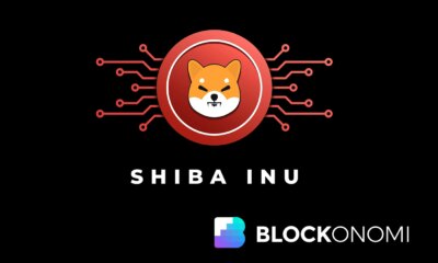 Shiba Inu Price Jumps 13% as Technical Analysis Points to 246% Rally Potential
