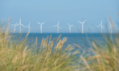 The Crown Estate has reported a record £1.1 billion in net revenue profit for the second consecutive year, thanks largely to a surge in offshore windfarm “option fees” paid by developers. However, the King’s property company has warned this windfall will soon pass, with profits expected to “normalise” from 2026.