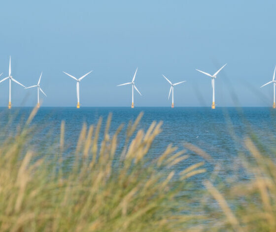 The Crown Estate has reported a record £1.1 billion in net revenue profit for the second consecutive year, thanks largely to a surge in offshore windfarm “option fees” paid by developers. However, the King’s property company has warned this windfall will soon pass, with profits expected to “normalise” from 2026.