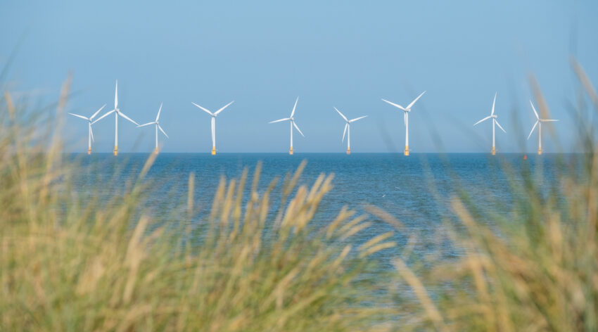 The Crown Estate has reported a record £1.1 billion in net revenue profit for the second consecutive year, thanks largely to a surge in offshore windfarm “option fees” paid by developers. However, the King’s property company has warned this windfall will soon pass, with profits expected to “normalise” from 2026.