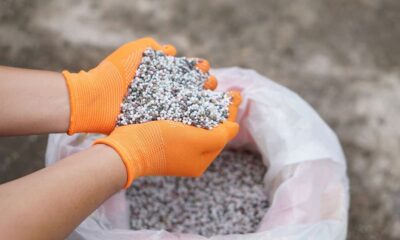 Is a Leading Italian Engineering Group Hiding Risks from Investors and Shareholders?