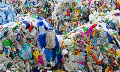 MPs back UK innovators as Britain steps up fight against plastic pollution