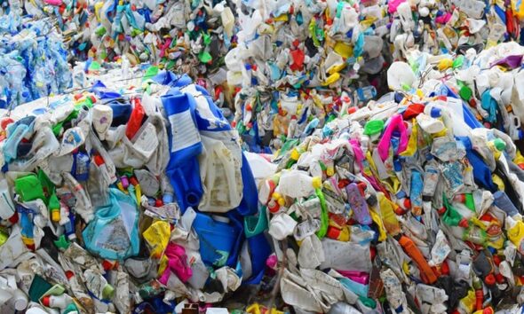MPs back UK innovators as Britain steps up fight against plastic pollution