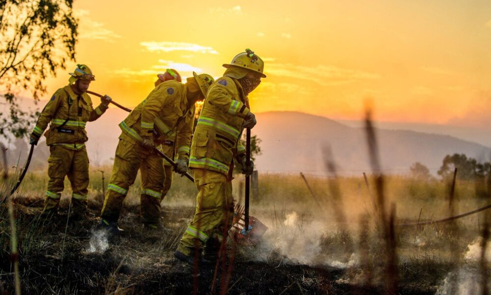 Firefighters could take weeks to get the blazes under control, authorities said. Pic: Reuters