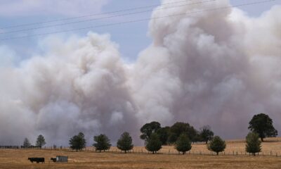 Smoke rises above the biggest bushfire in Victoria. Pic: AAP/AP