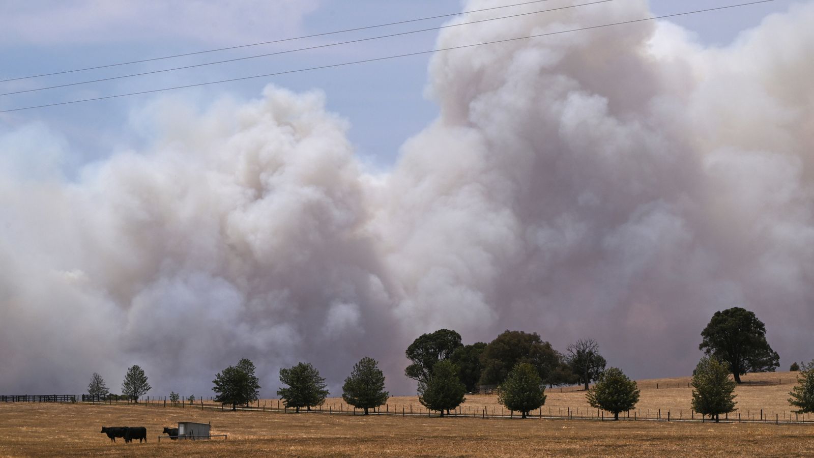 Smoke rises above the biggest bushfire in Victoria. Pic: AAP/AP