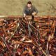 A gun buyback scheme, like this one in Sydney in 1997, is set to be repeated. File pic: Reuters
