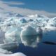 A seal swims by icebergs off the British Antarctic Survey's Rothera base. File pic: Reuters