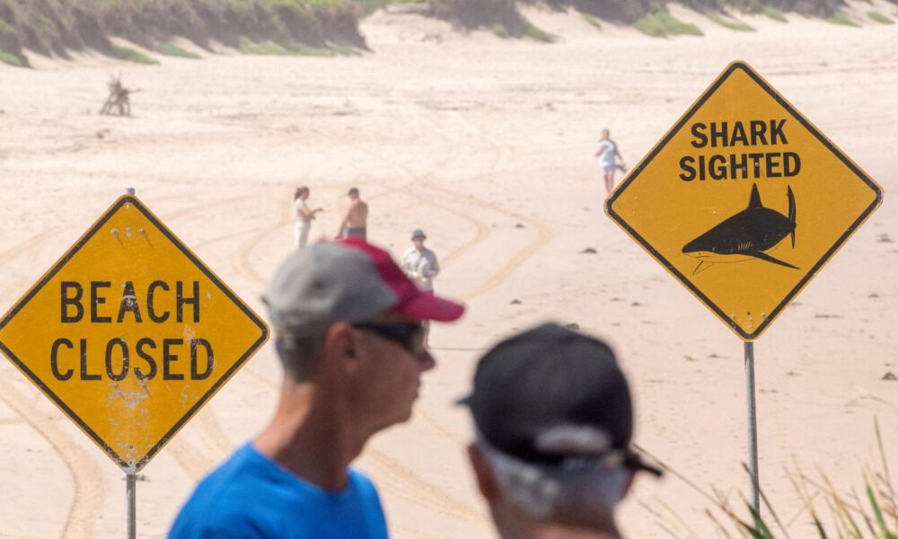 Several beaches have been closed in Sydney after a spate of shark attacks. File pic: Reuters