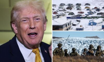 Military action in Greenland 'always an option' says White House | World News