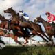 Today on Sky Sports Racing: Doncaster, Southwell, Wolverhampton and Meydan | Racing News