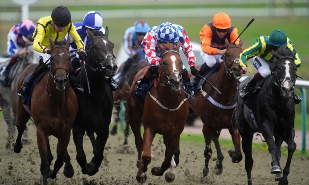 Lingfield hosts today's racing on the All-Weather