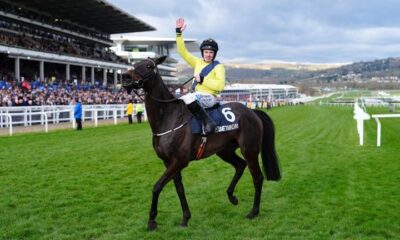 Marine Nationale won last year's Champion Chase