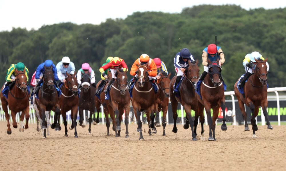Today on Sky Sports Racing: Aisling Oscar chases six-timer at Newcastle | Racing News