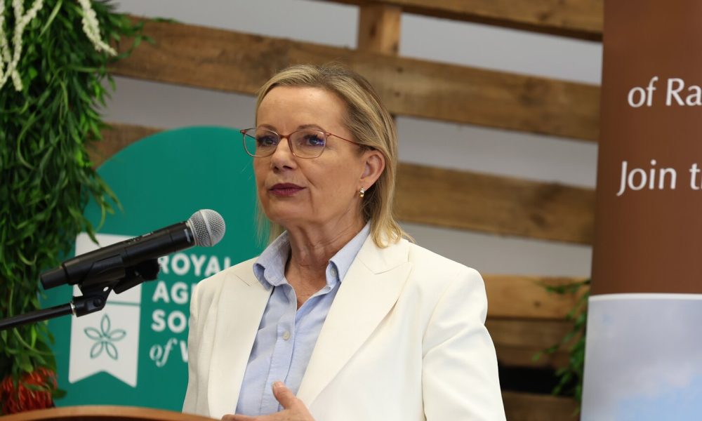 Nationals given deadline to save coalition after split