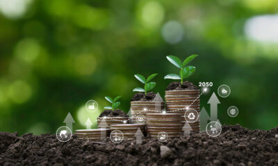 sustainable finance