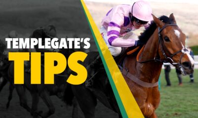 Horse racing tips: 'She looks a huge improver for her legendary trainer'