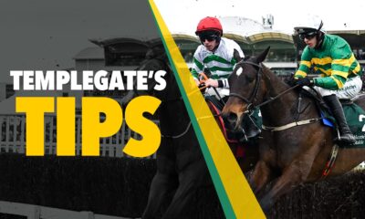 Horse racing tips: 'Rarely puts a foot wrong and can go on improving'