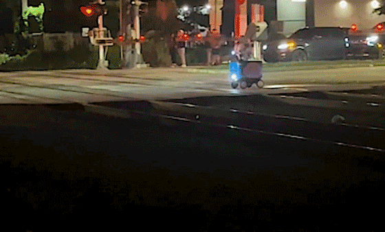 Train strikes food delivery robot stuck on railroad tracks in Miami