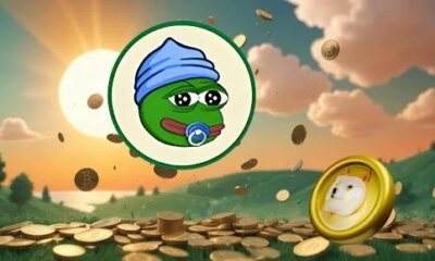 Why Pepe coin price is going up?