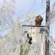 Crews work to restore power as more icy temperatures descend on South