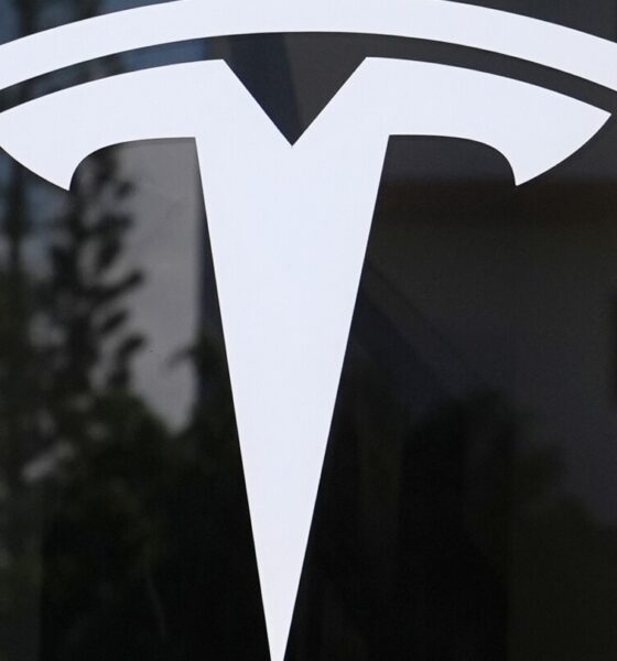 Tesla loses title of world's top EV maker to China rival amid customer revolt and stiff competition