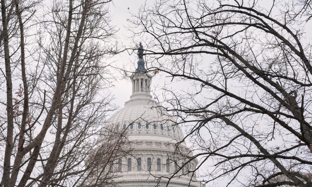 Congress considers the consequences for ICE after Renee Good's killing