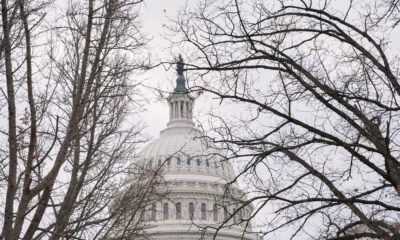 Congress considers the consequences for ICE after Renee Good's killing