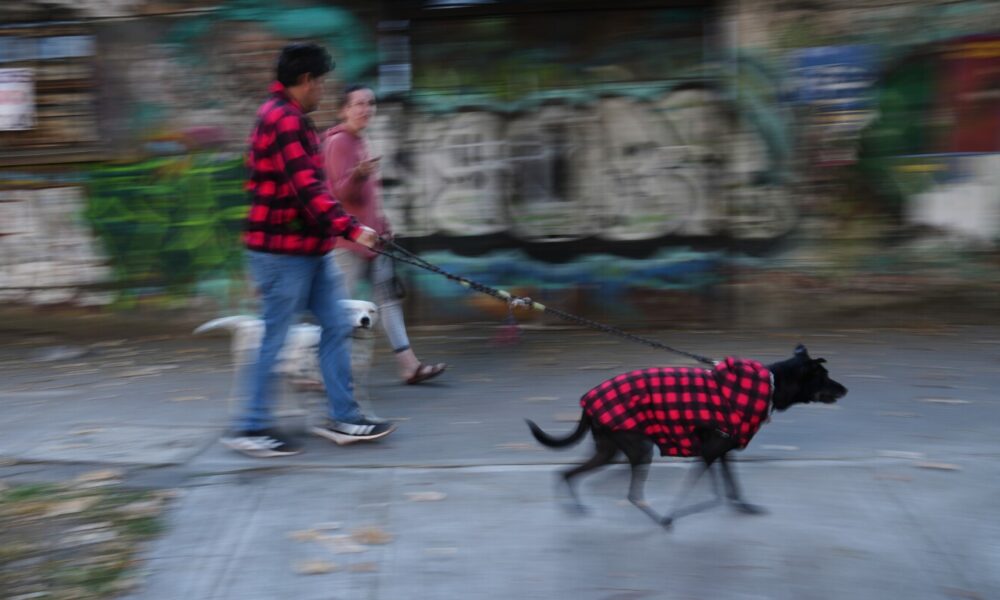 Mexico struck by 6.5 magnitude earthquake