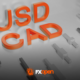 USD/CAD Falls Below the 2025 Low