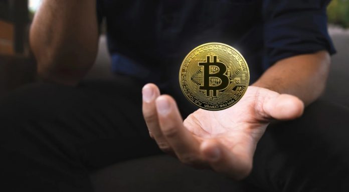 What to Do with Your Crypto: Hold, Spend, or Convert?