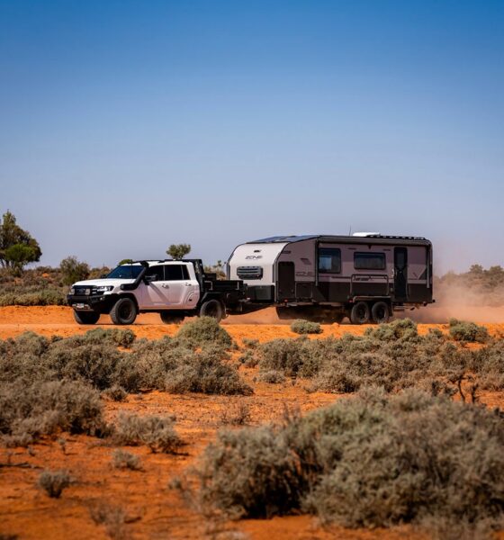 Tesla Forced to Halve Lease Costs in UK as Storage