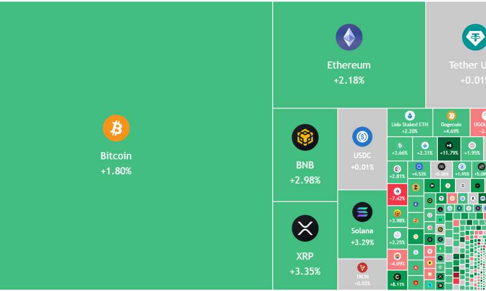 Relief Rally Leads To Green Bitcoin, Altcoin Charts, But Will It Last?