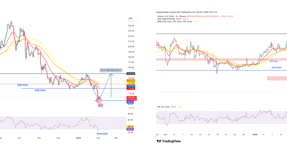 These Metrics Suggest $100 Was the Local Bottom