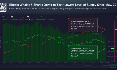 Large Bitcoin Holders Supply Hits 9-Month Low
