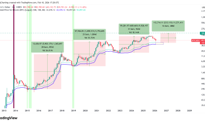 Cryptocurrencies, Bitcoin Price, Bitcoin Analysis, Adoption, Markets, Cryptocurrency Exchange, Price Analysis, Market Analysis, Bitcoin Adoption