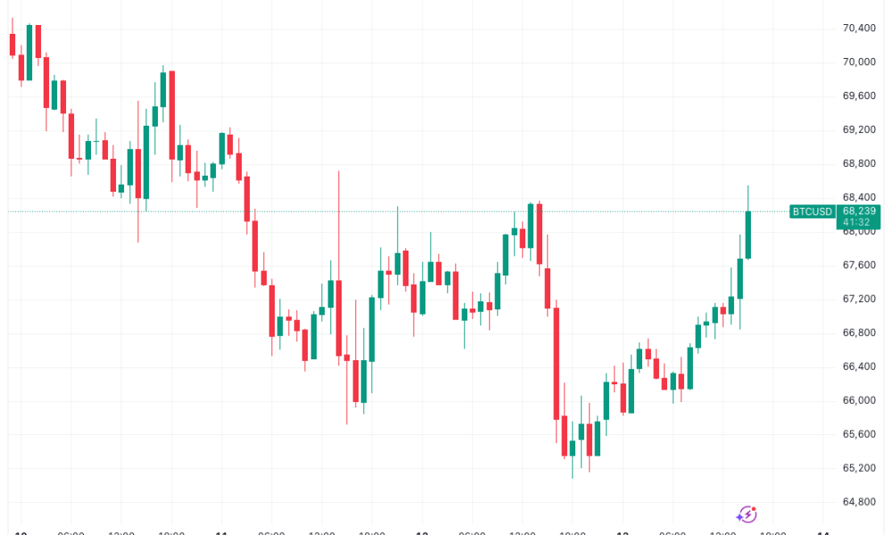 Bitcoin Gains 4% As Soft US CPI Boosts March Rate-Cut Odds