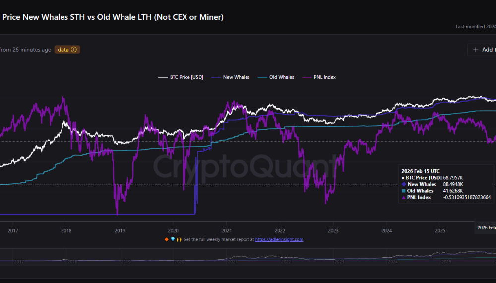 Cryptocurrencies, Bitcoin Price, Adoption, Markets, Cryptocurrency Exchange, Binance, Price Analysis, Market Analysis, Whale