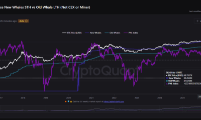 Cryptocurrencies, Bitcoin Price, Adoption, Markets, Cryptocurrency Exchange, Binance, Price Analysis, Market Analysis, Whale