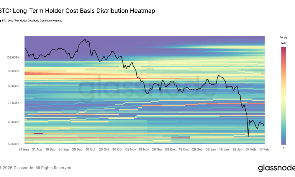 $50,000 Price Odds Remain As 2024 Hodlers Help Stabilize BTC