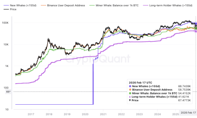 Four Sub-$60,000 BTC Price Levels Form Bitcoin Bottom 'Roadmap'